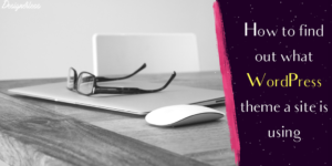 How to find out what WP theme a site is using