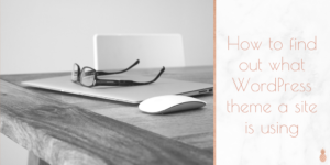 How to find out what WP theme a site is using
