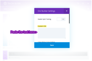 Divi Builder Single Page Code Area