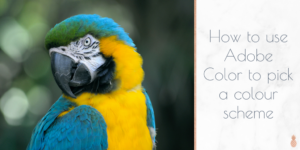 How to pick a colour scheme for your web design projects