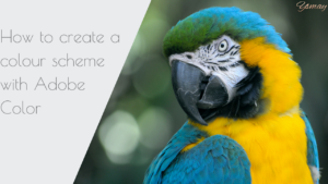 How to pick a colour scheme for your web design projects