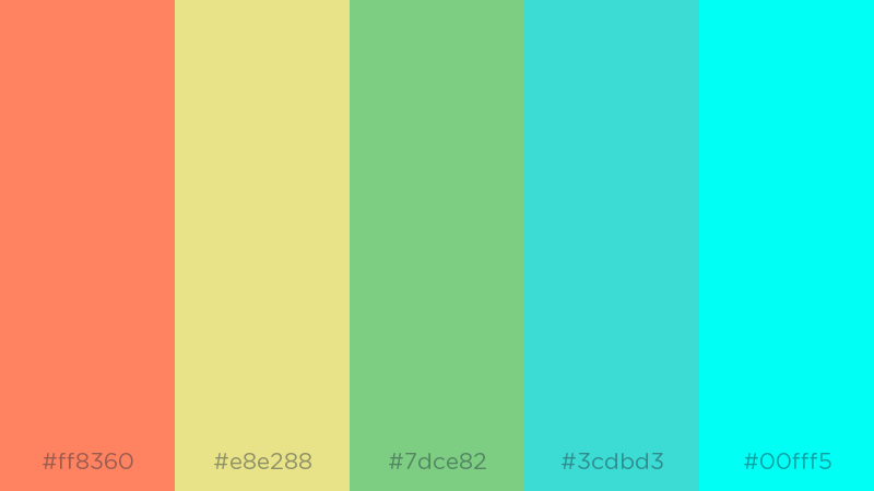 Creative Colour Schemes for DIY Website Projects