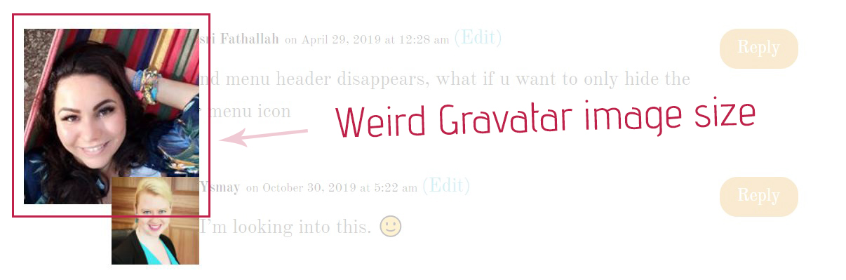 Weird Gravatar Size