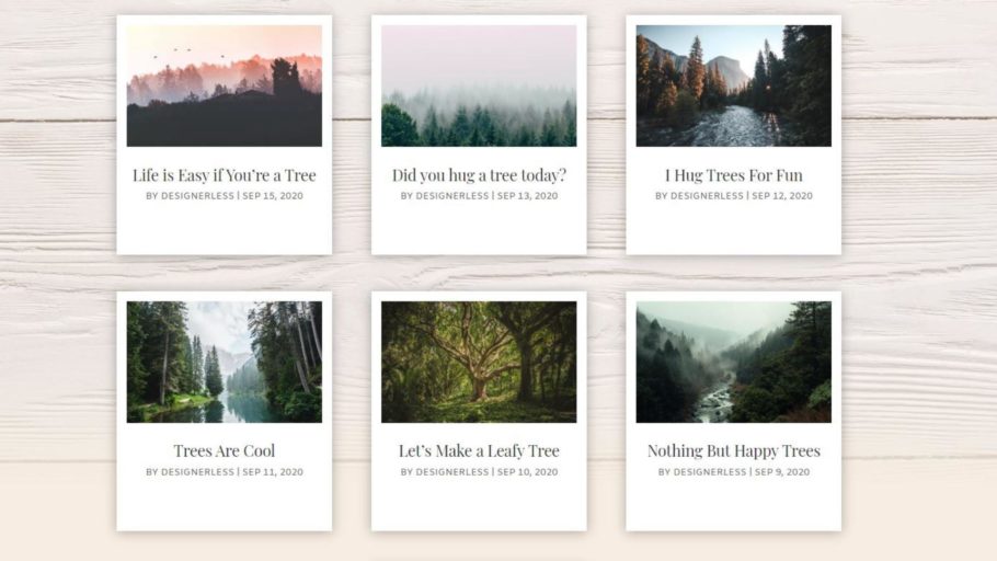 Designerless - Divi Polaroid Blog Section