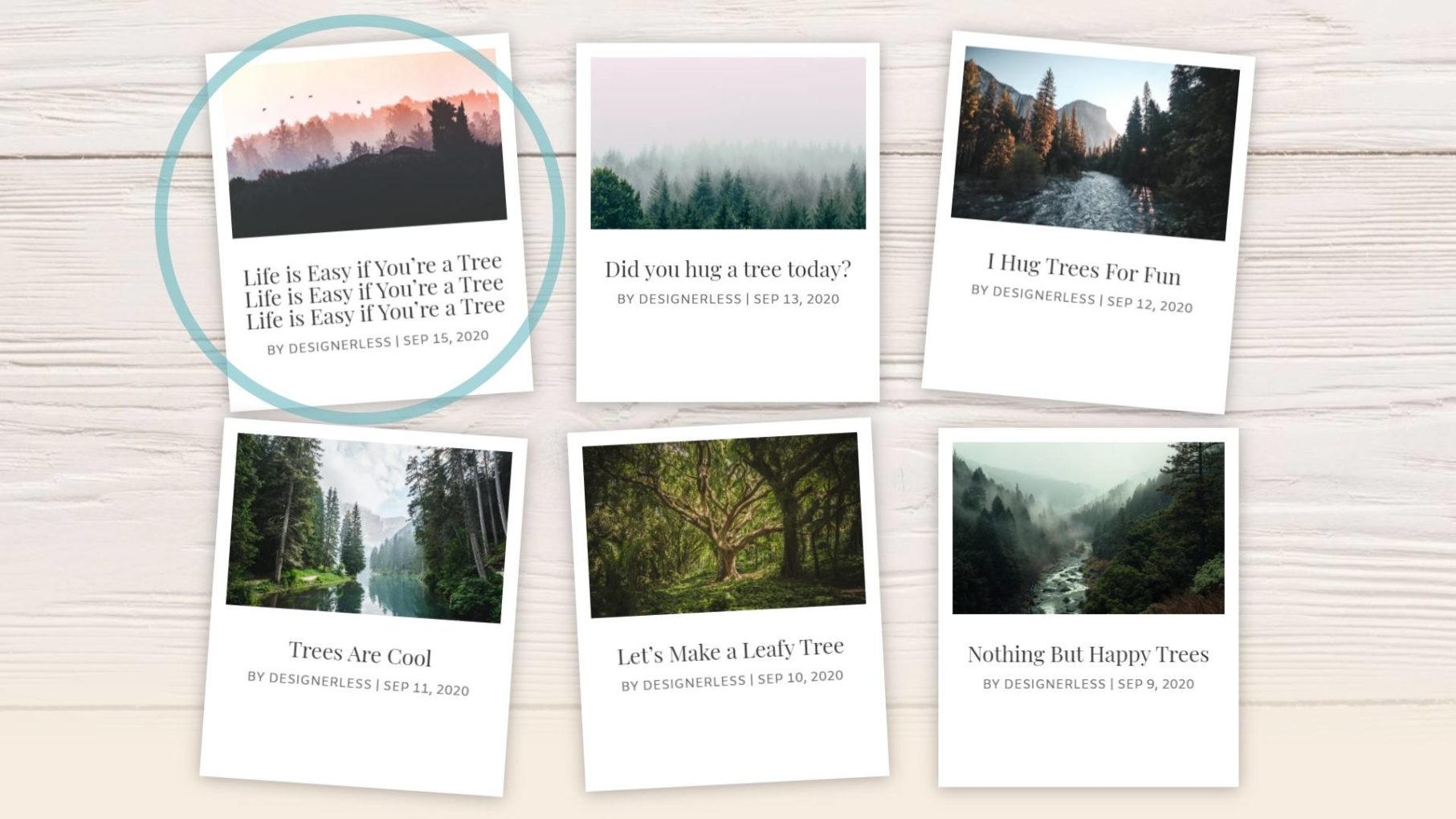 Designerless: Polaroid Blog Cards Overflow Text