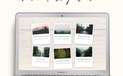 Polaroid Blog Section
