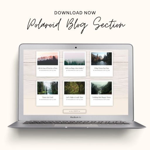 Designerless - Polaroid Blog Section