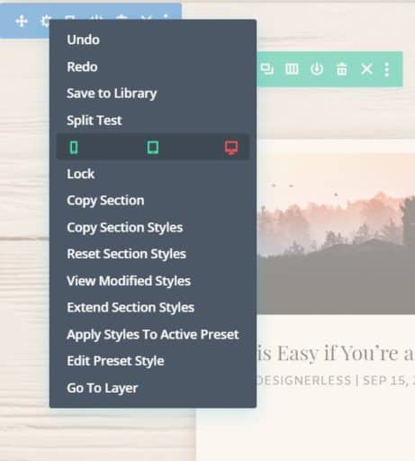 Divi Design Tutorial: Disable Views