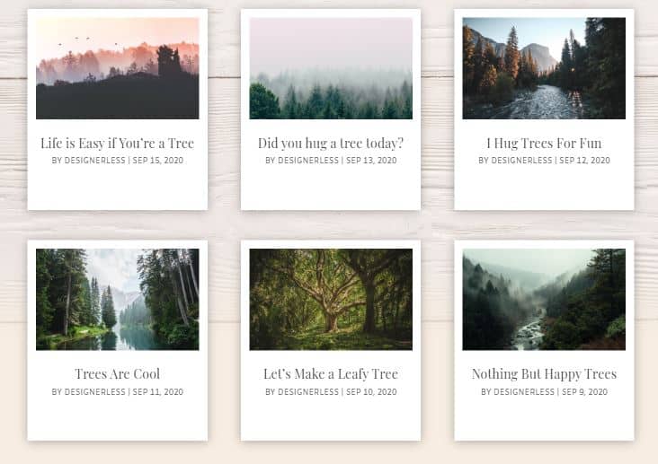 Image: Divi Polaroid Blog Cards Straight Alignment